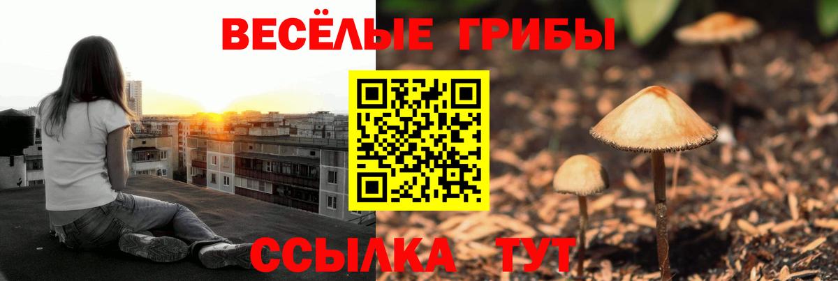 Галлюциногенные грибы Psilocybine cubensis Миасс